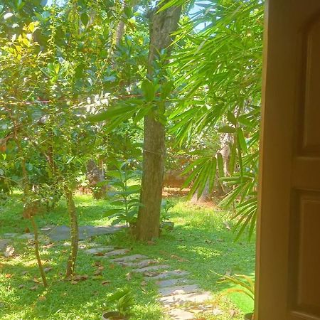 Mother'S Inn Homestay Kochi Ngoại thất bức ảnh